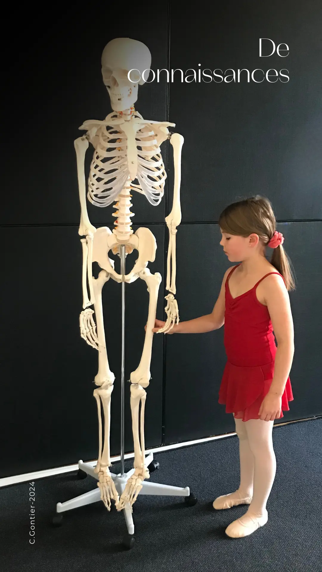 Anatomie dans les cours de danse